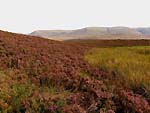 Die Cairngorms