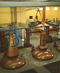 Whisky Distillery (Glenfiddich)